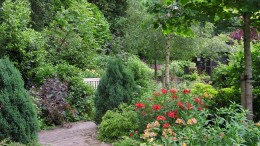 Whickham Hermitage Community Garden